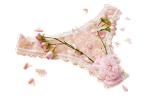 luxe lingerie la vida